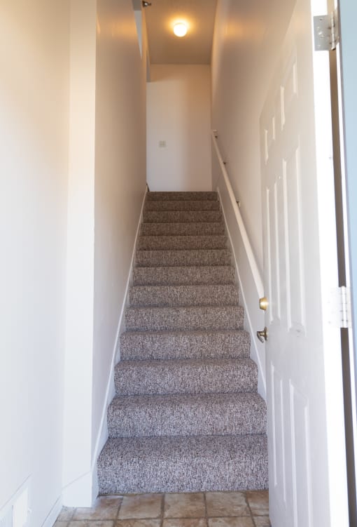stair case with carpet on stairs