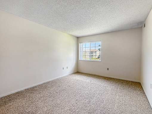 A room with a carpeted floor and a window.