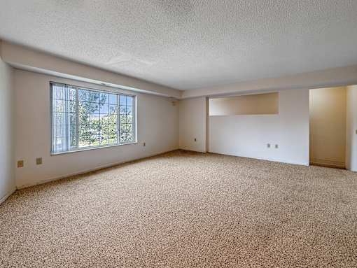 A room with a carpeted floor and a window.
