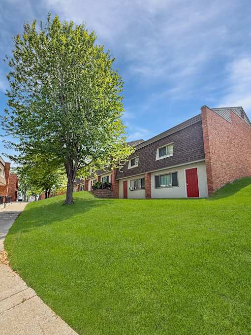 A tree in front of Liberty Plaza Townhome building