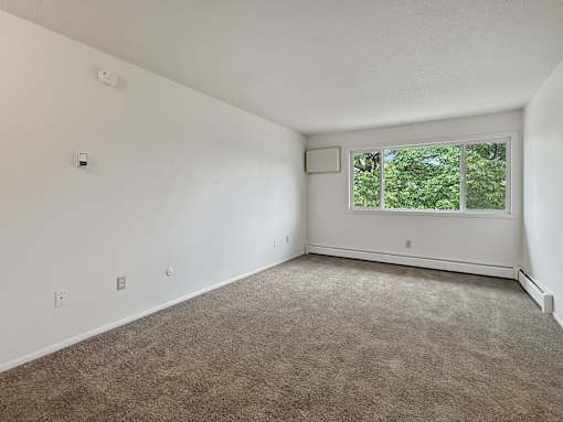 A room with a window and carpeted floor.