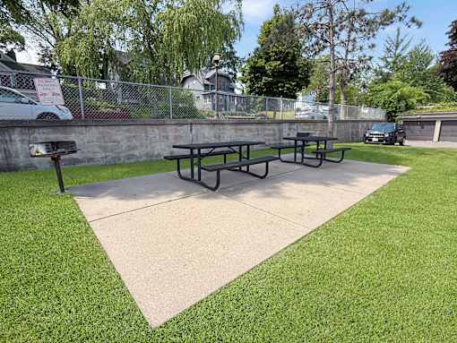 Picnic tables are set up on a concrete pad in a grassy area.