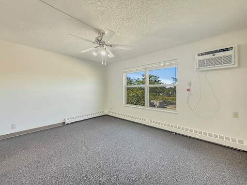 A room with a ceiling fan and a window showing a tree outside.
