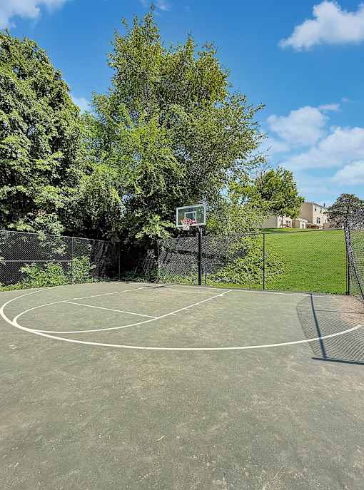 A basketball court surrounded by trees and a fence.