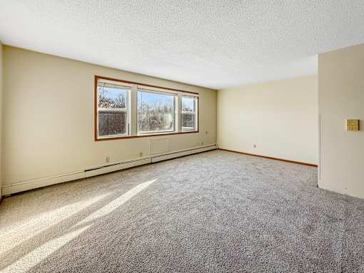 A room with a grey carpet and a window.