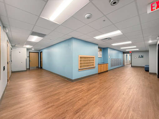 A lobby with blue walls and natural looking wood plank flooring