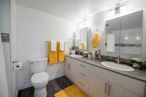 double vanity bathroom