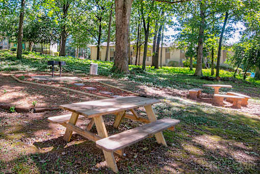 A wooden picnic table sits in a grassy area with trees in the background.