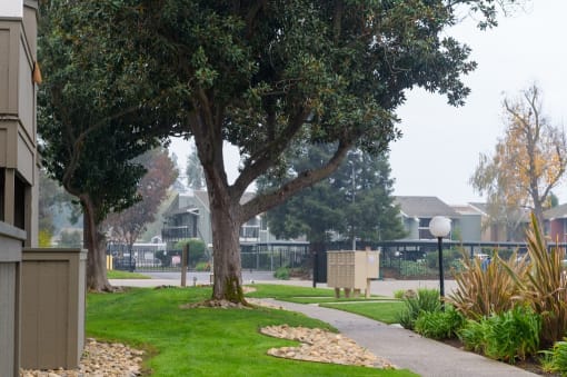 Walkway Leading to Residential Building