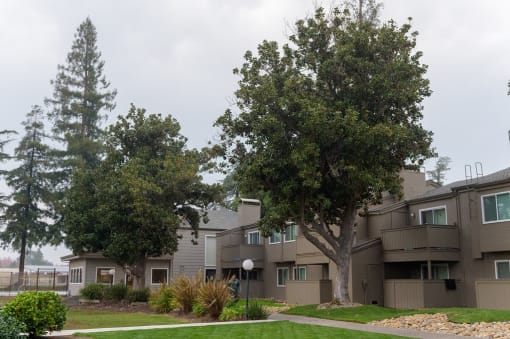 Residential Building and Walkway