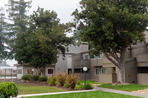 Residential Building and Walkway