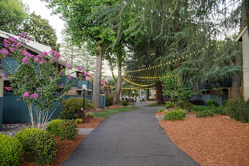 A pathway with a string of lights on the right side.
