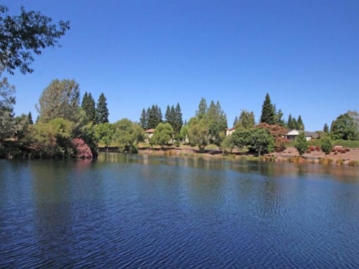 Lake View(2)