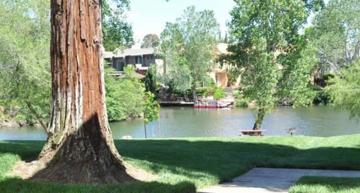 Lake View(3)