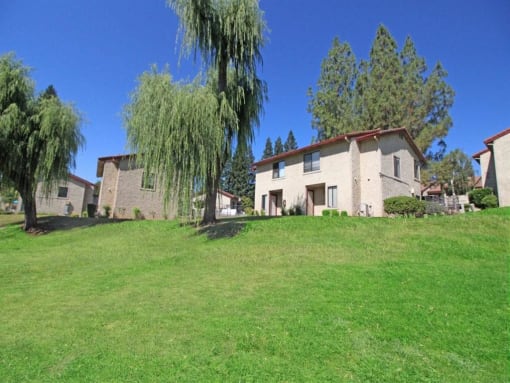 Property View(3)