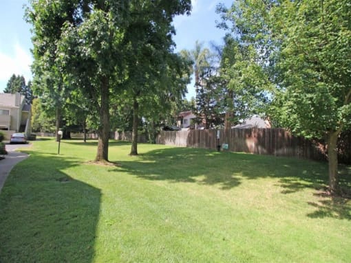 Property View(2)