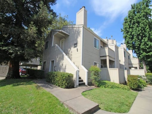 Property View(1)