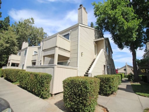 Property View(7)