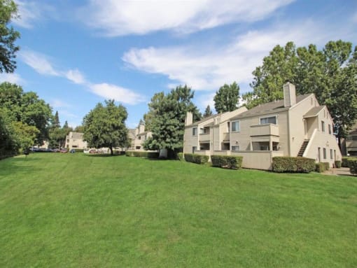 Property View(5)
