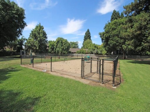 Dog Park