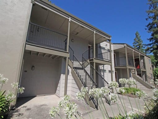 Property View(3)