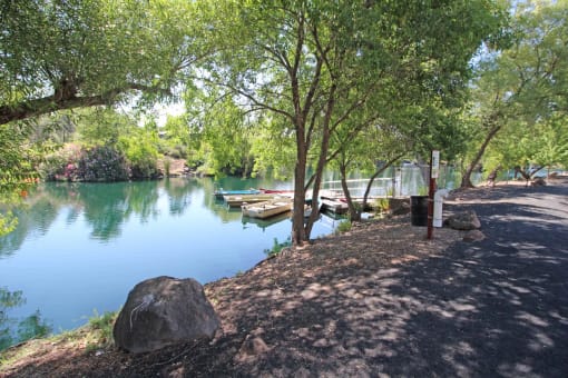 Lake Path6