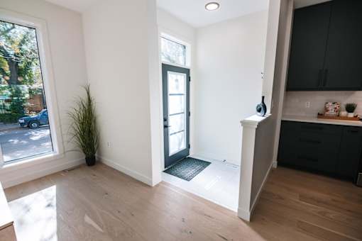 A room with a black door and a plant in it.