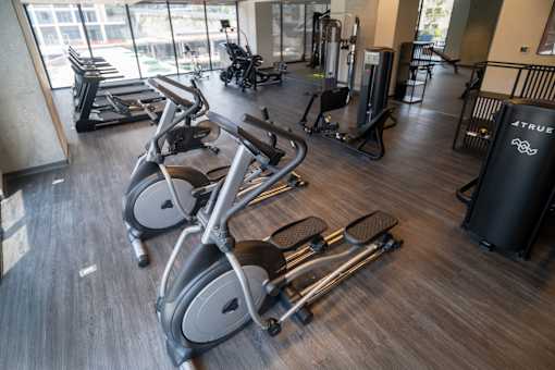 A gym with a row of treadmills and elliptical machines.
