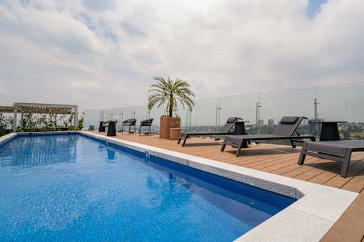 A pool with a palm tree and chairs on the side.