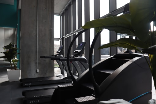 a row of treadmill and elliptical machines in a gym