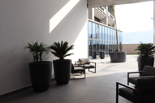 a view of the lobby of an office building with potted plants