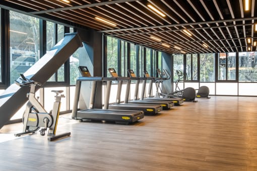 a row of treadmills and elliptical trainers in a gym