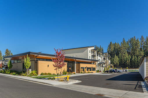 A modern building with a red tree in front.