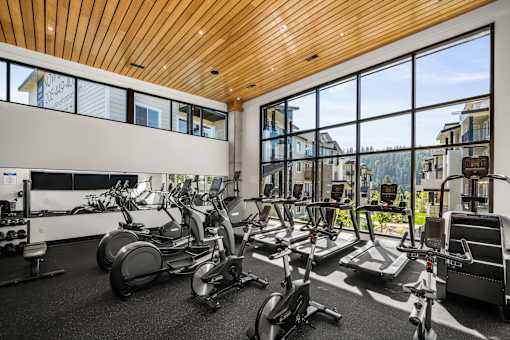 A gym with a row of exercise bikes and a view of the outside.