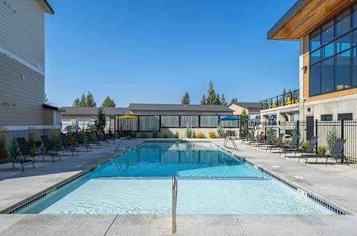 A large outdoor swimming pool with a diving board.