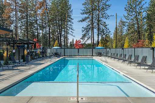 A large outdoor swimming pool surrounded by trees and lounge chairs.
