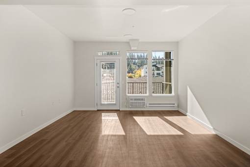 A room with a white wall and a wooden floor with a rug in front of a glass door.