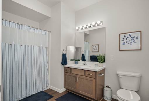 A bathroom with a white toilet, a sink with a mirror above it, and a shower with a blue and white striped shower curtain.