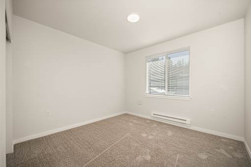 A room with a window and a carpeted floor.