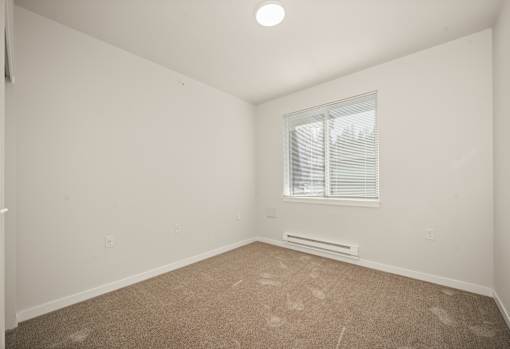 A room with a window and a carpeted floor.