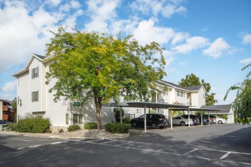 a parking lot in front of a white building with a tree and cars in front