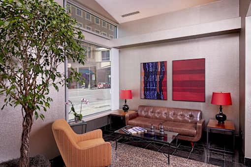 a living room with a couch and chairs and a tree