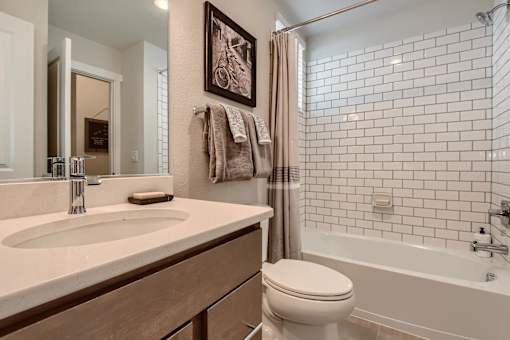 a bathroom with a sink and a toilet and a shower
