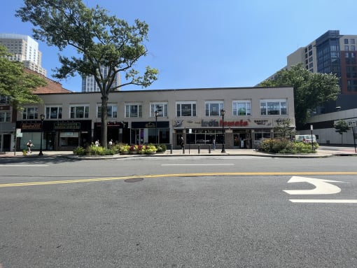 a city street with a building in the background and a tree in the foreground