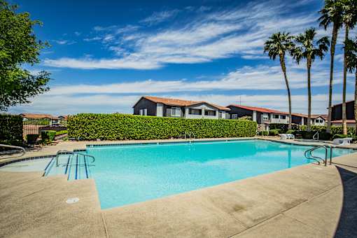 A swimming pool surrounded by palm trees and a row of houses.