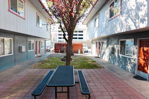 A tree with red leaves is in the middle of a courtyard with two benches at I Street Apartments, California 95616