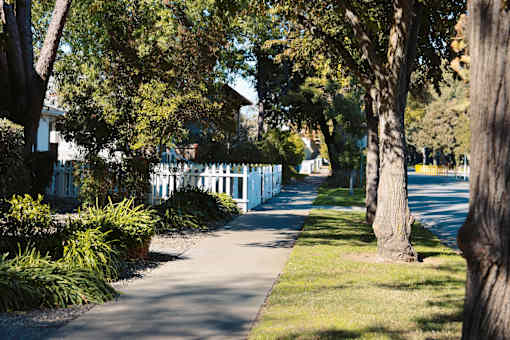 A tree-lined pathway in a park with a white building in the background at I Street Apartments, Davis, CA
