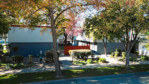 A tree with red leaves stands in front of a blue building at I Street Apartments, Davis, 95616