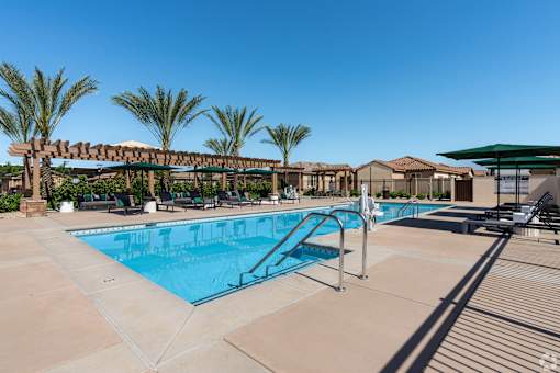 A large swimming pool surrounded by palm trees and lounge chairs.