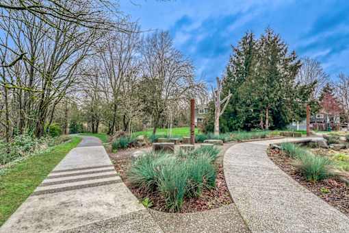 Walkway in a park with trees at Burke Gilman, Seattle, WA
